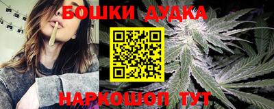 крисы Гусиноозёрск