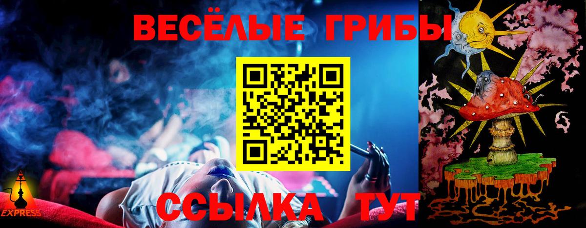 Кохма  Псилоцибиновые грибы Cubensis  Вход с VPN 