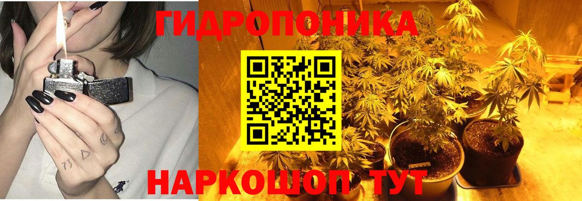 Бошки марихуана Bruce Banner Кохма